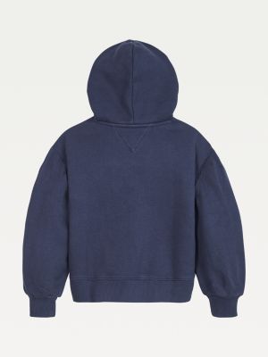 tommy hilfiger hoodie kids