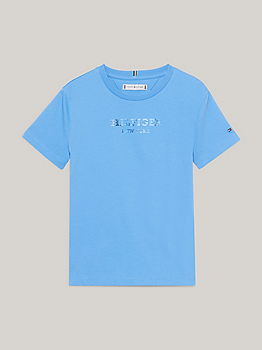 TH Established Essential Logo Slim T-Shirt | BLUE | Tommy Hilfiger