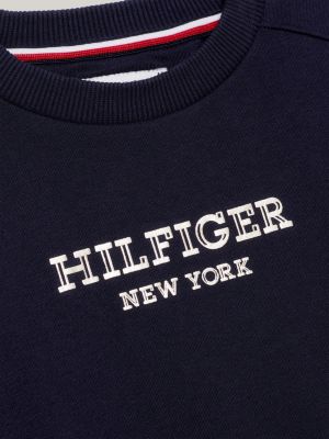 Tommy hilfiger metallic 2024 logo sweatshirt