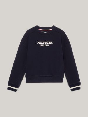 Tommy hilfiger metallic logo on sale sweatshirt