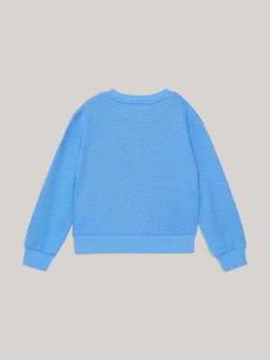 Baby blue tommy hot sale hilfiger sweater