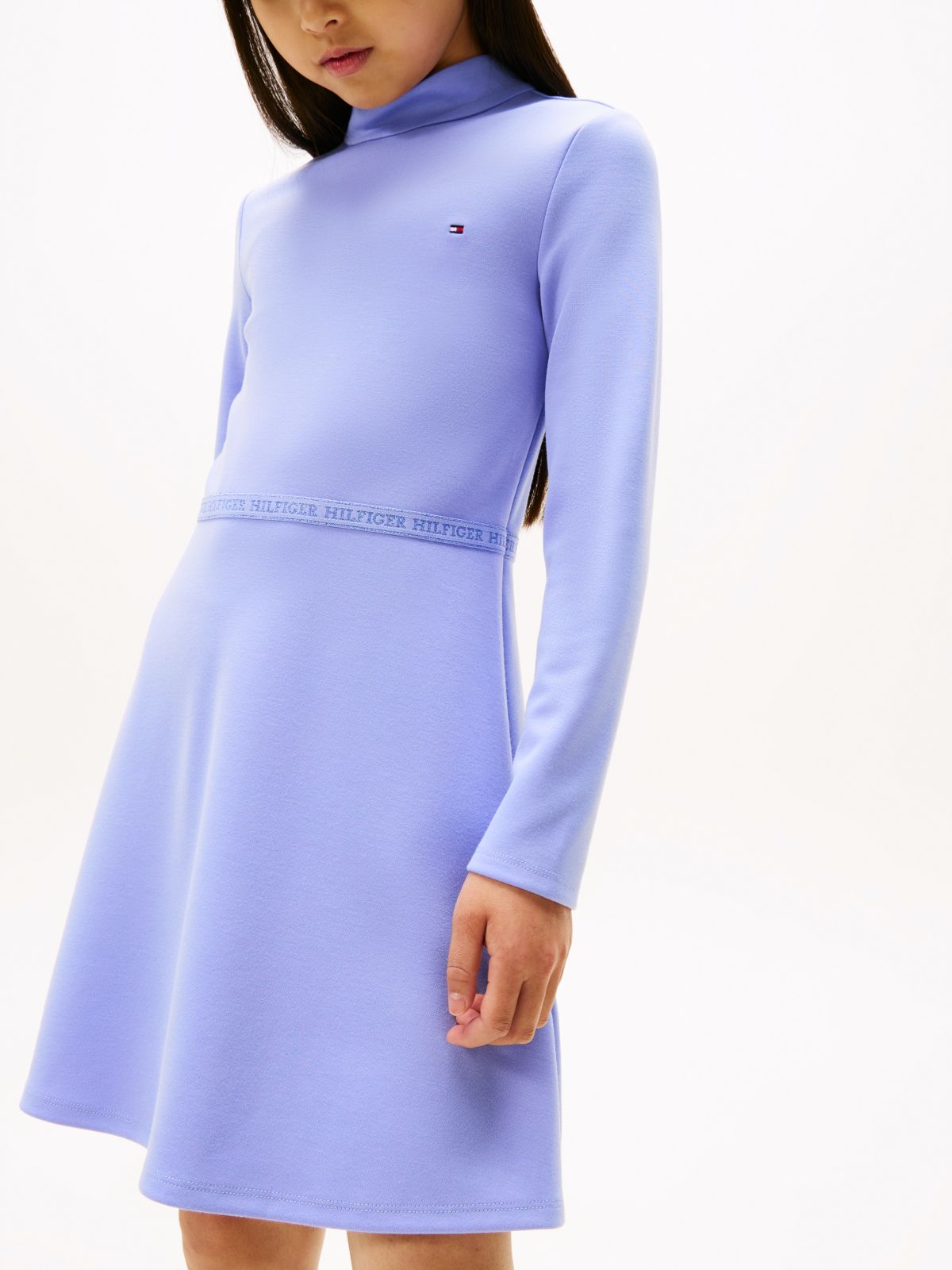Sparkle Logo Mock Neck Skater Dress — Purple