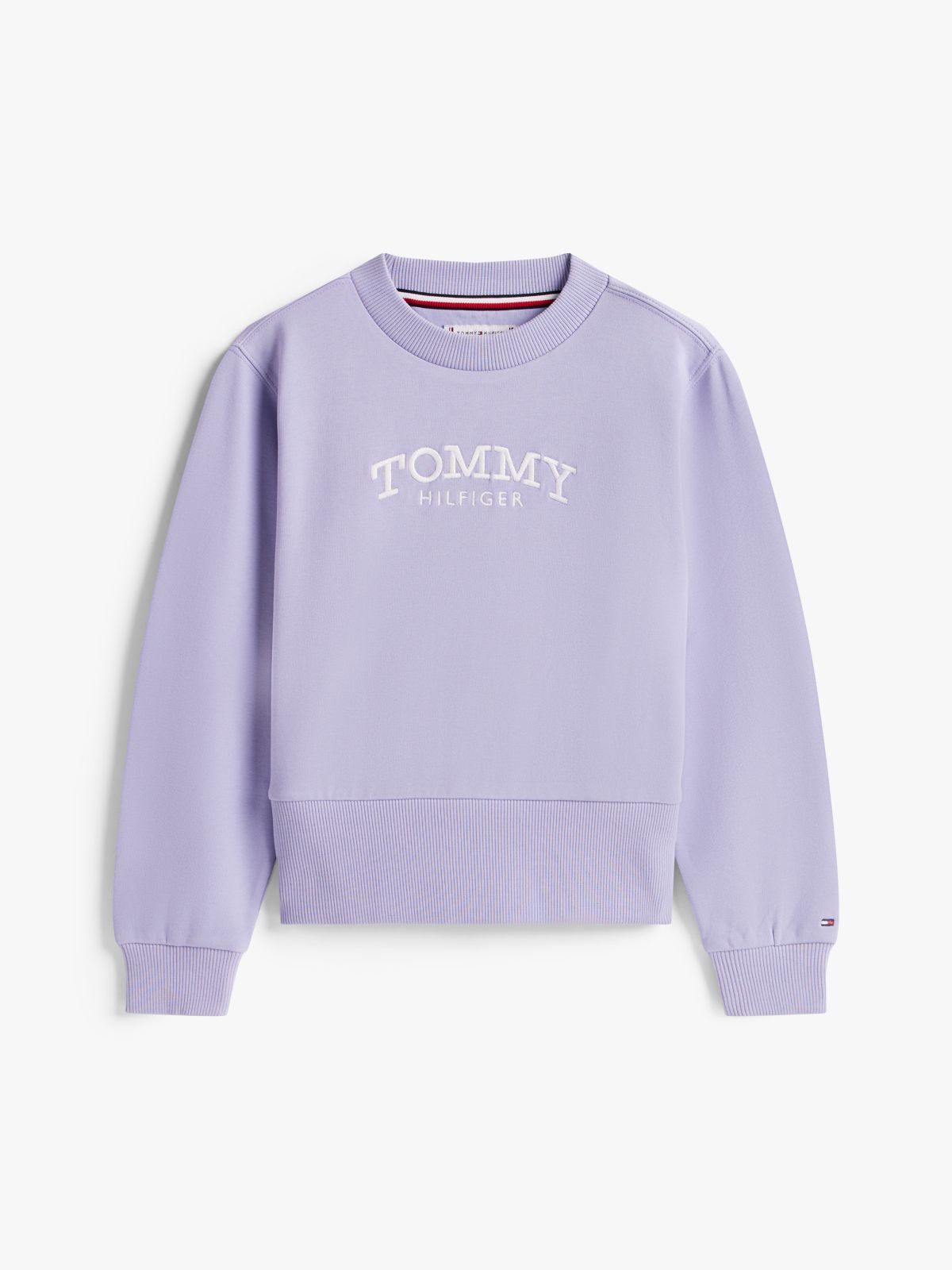 Logo Embroidery Crew Neck Terry Sweatshirt — Blue