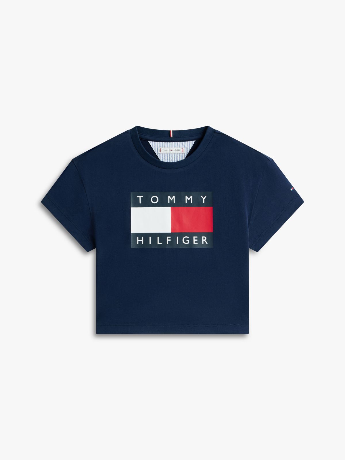 Heritage Flag Logo Relaxed T-Shirt — Blue