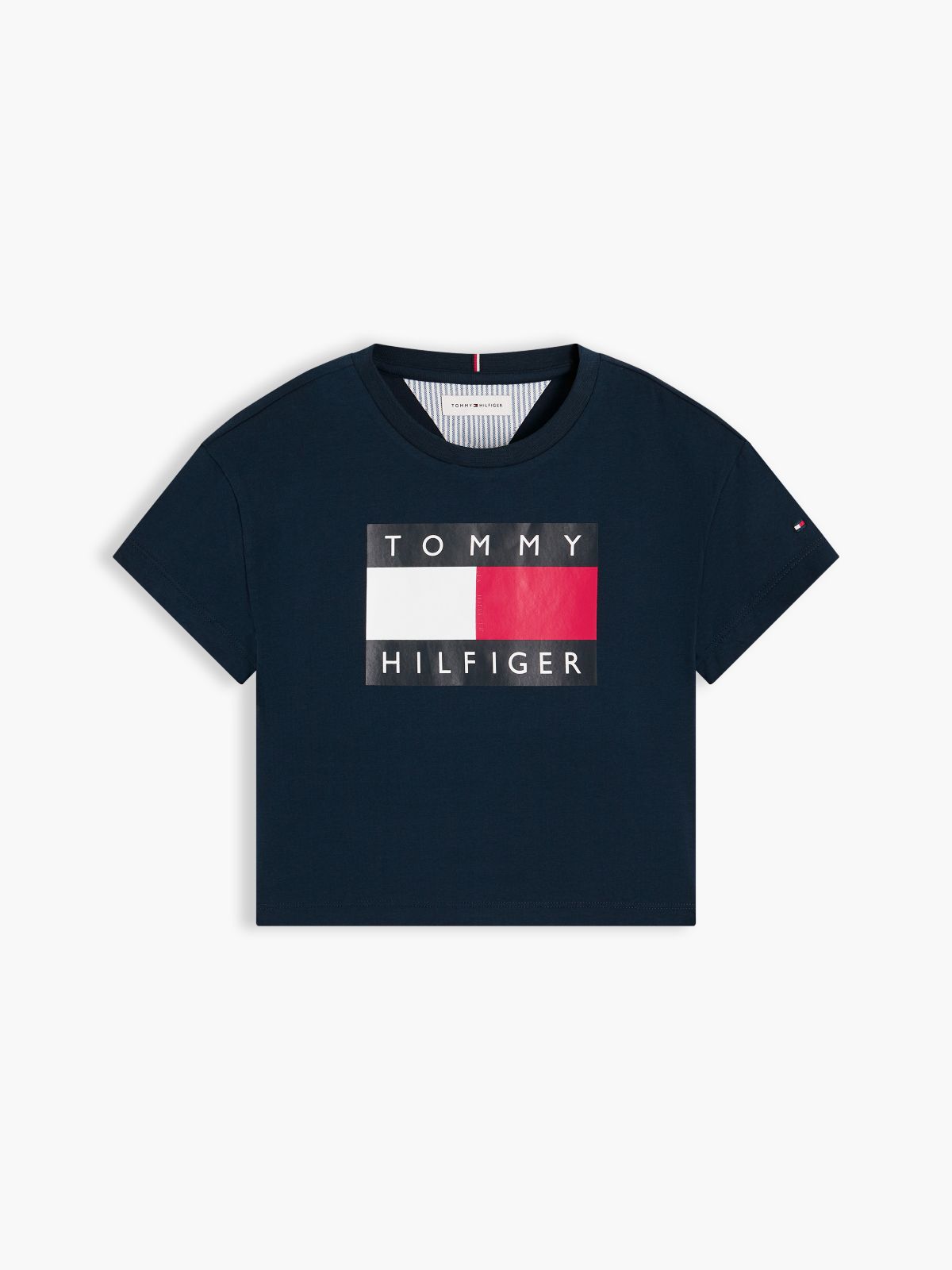 Heritage Flag Logo Relaxed T-Shirt — Blue