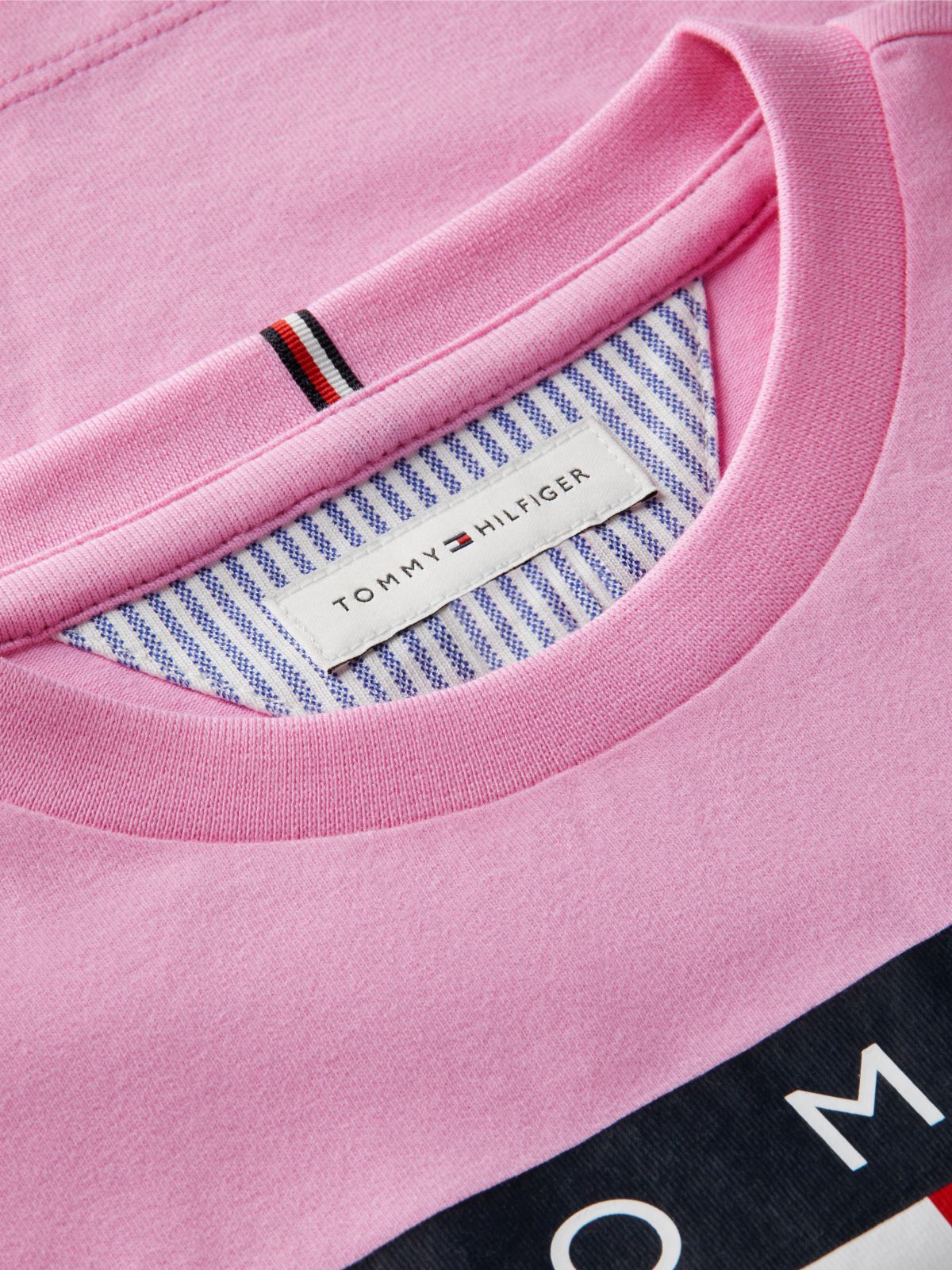 Heritage Flag Logo Relaxed T-Shirt — Pink