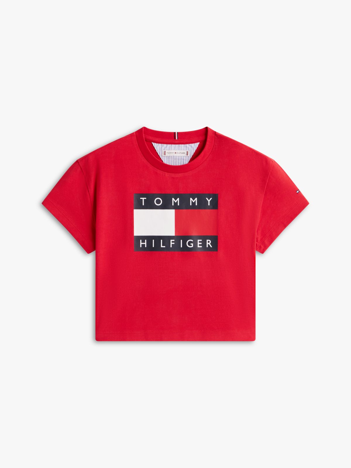 Heritage Flag Logo Relaxed T-Shirt — Red