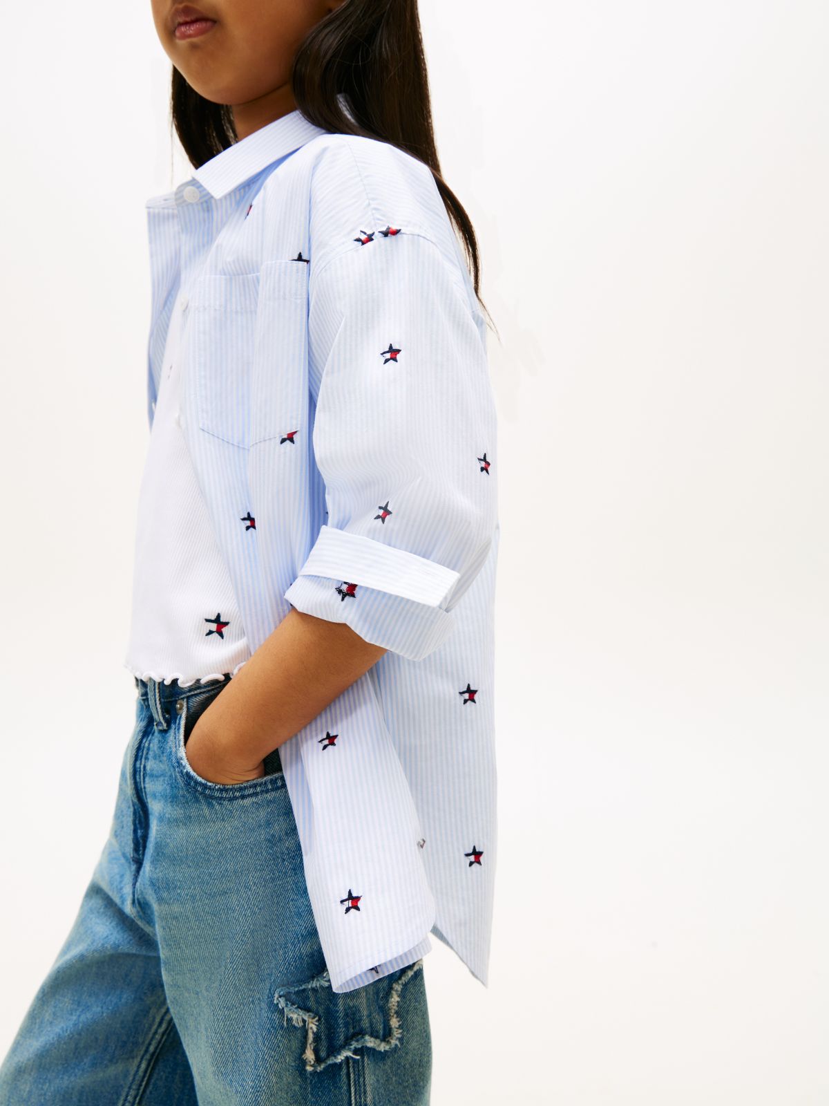 Regular Fit Stripe Star Flag Embroidery Shirt — Blue