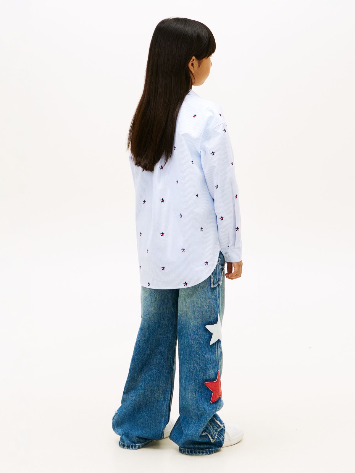 Regular Fit Stripe Star Flag Embroidery Shirt — Blue