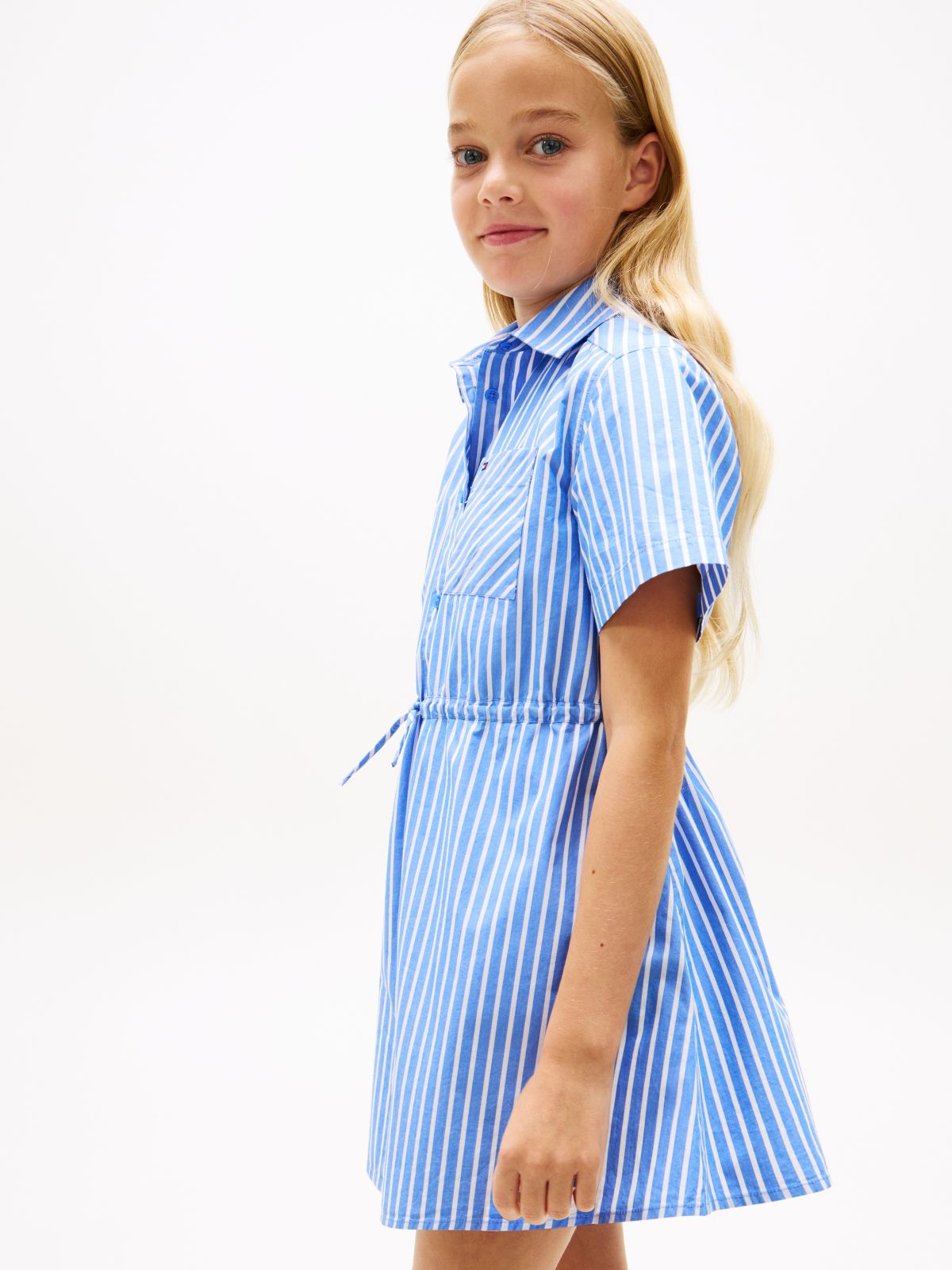 Stripe Poplin Shirt Dress — Blue