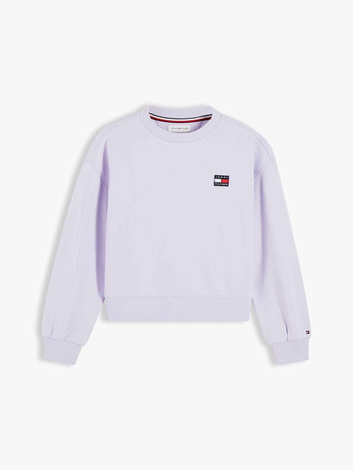 Heritage Logo Relaxed Sweatshirt — Purple