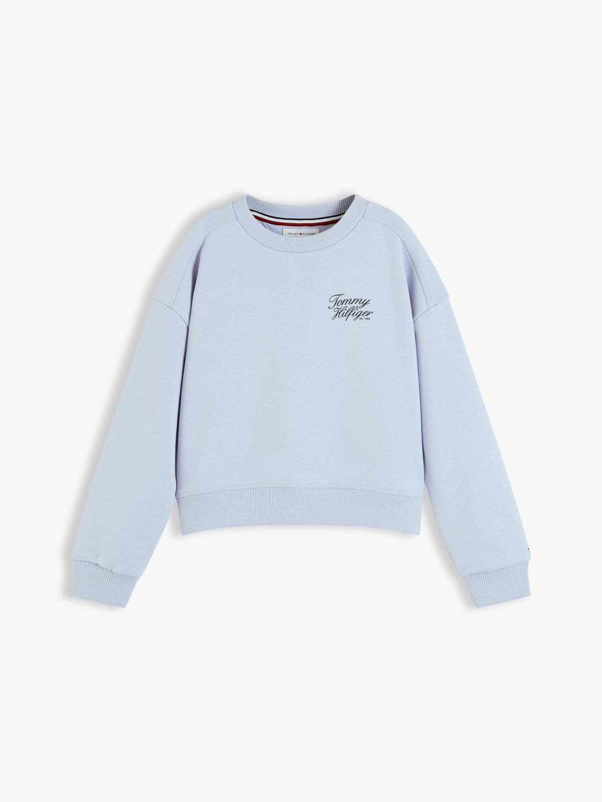 Logo Terry Relaxed Sweatshirt — Blue