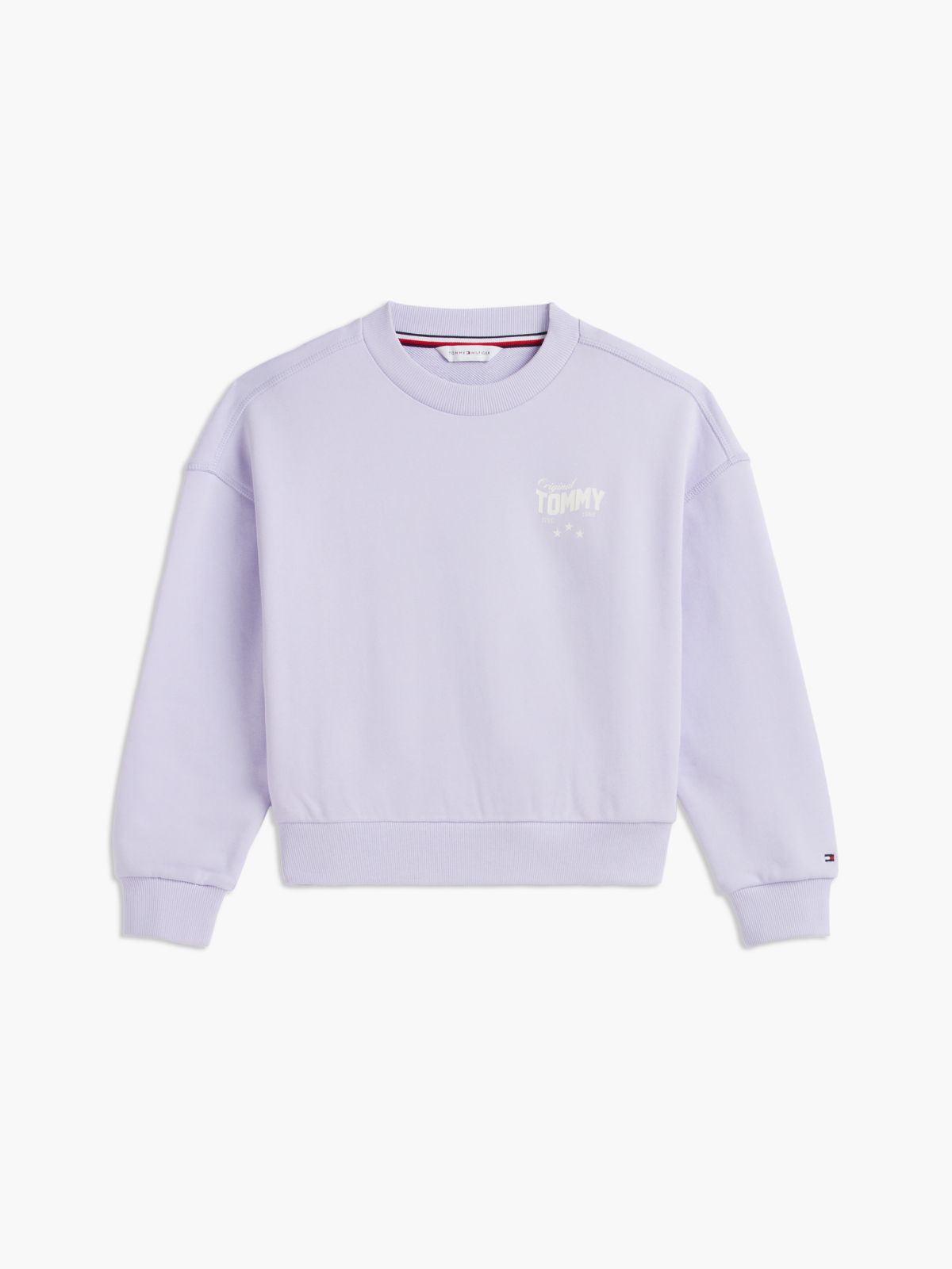 Star Back Graphic Relaxed Sweatshirt — Purple