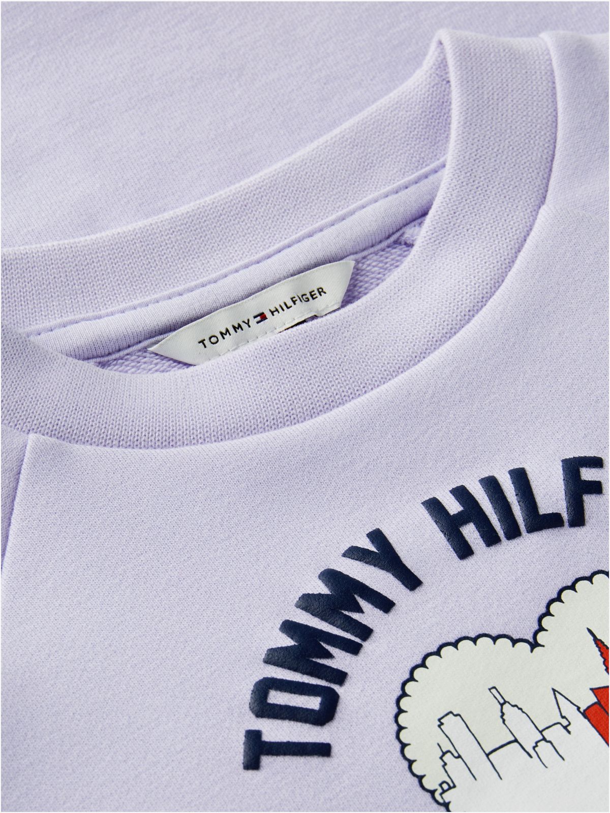 Flag Embroidery Relaxed Terry Sweatshirt Dress — Purple