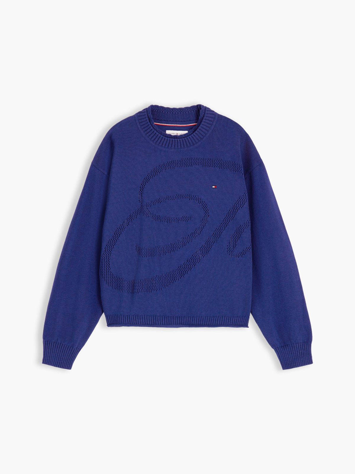 Textured Back Logo Relaxed Jumper — Blue