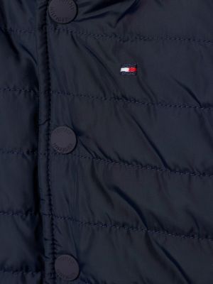 Ithaca Stripe Hood Padded Jacket | Blue | Tommy Hilfiger