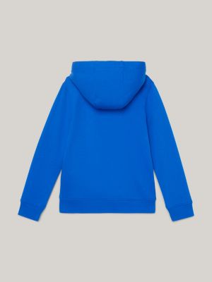 Sudadera con capucha y monotipo Hilfiger, Azul