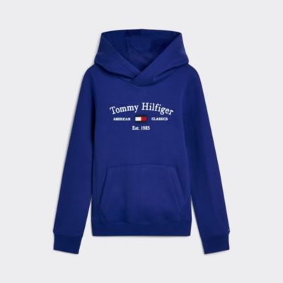 purple tommy jeans hoodie