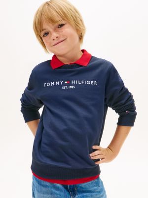 boys tommy hilfiger hoodies
