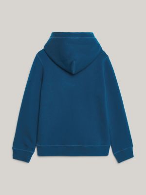 Hilfiger hot sale hoodie kids