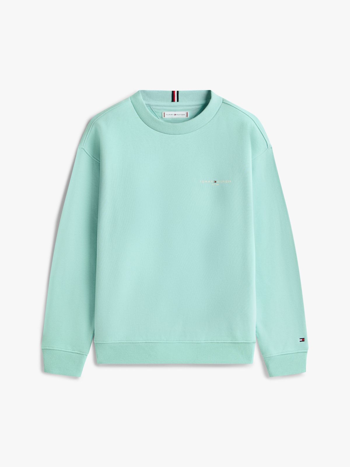 Brushed Fleece Logo Sweatshirt — Blue