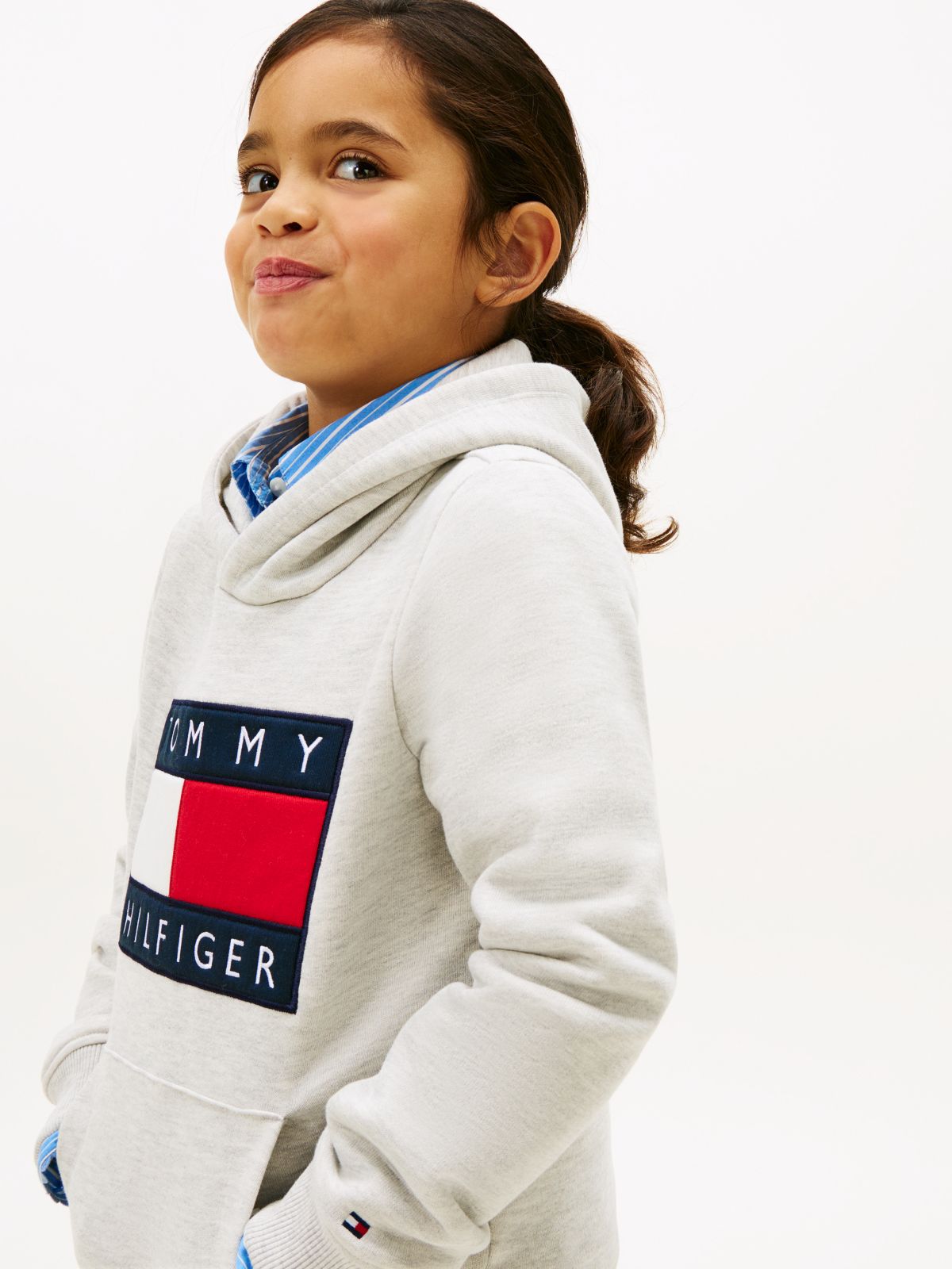 Heritage Flag Badge Terry Hoody — Grey