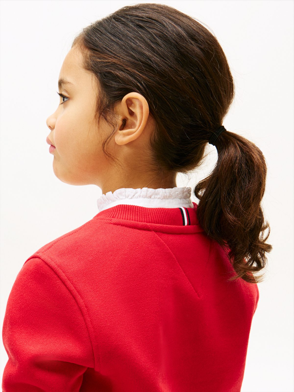 Heritage Flag Appliqué Crew Neck Sweatshirt — Red