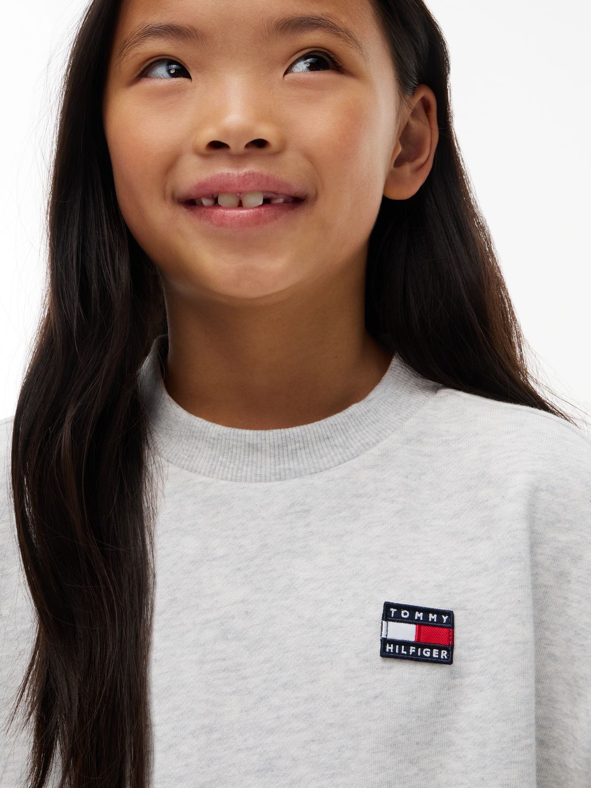 Flag Logo Terry Sweatshirt — Grey