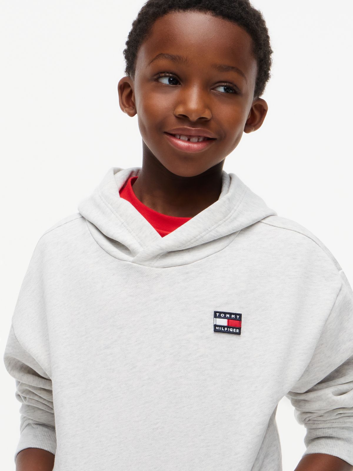 Flag Logo Terry Hoody — Grey