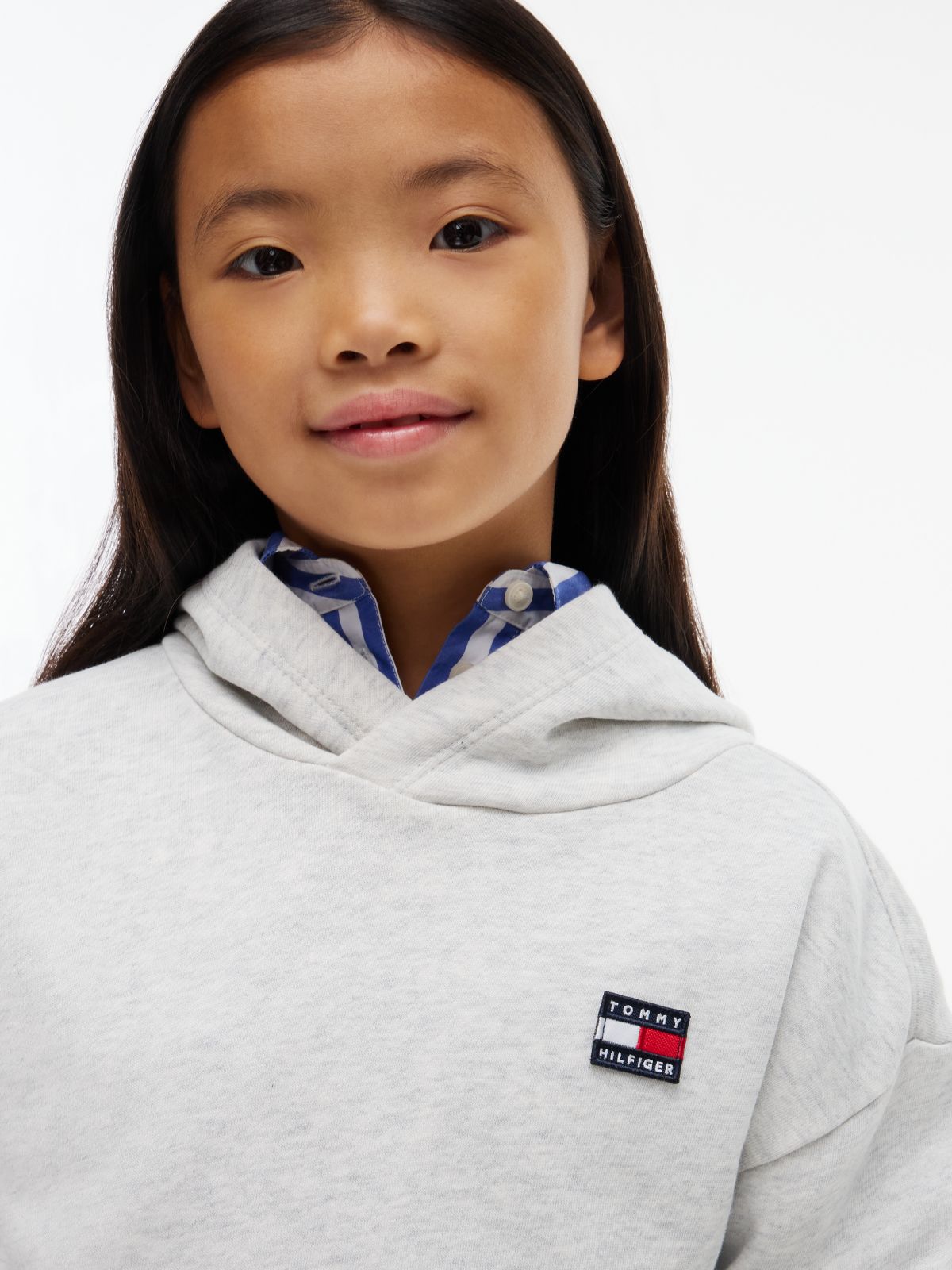 Flag Logo Terry Hoody — Grey