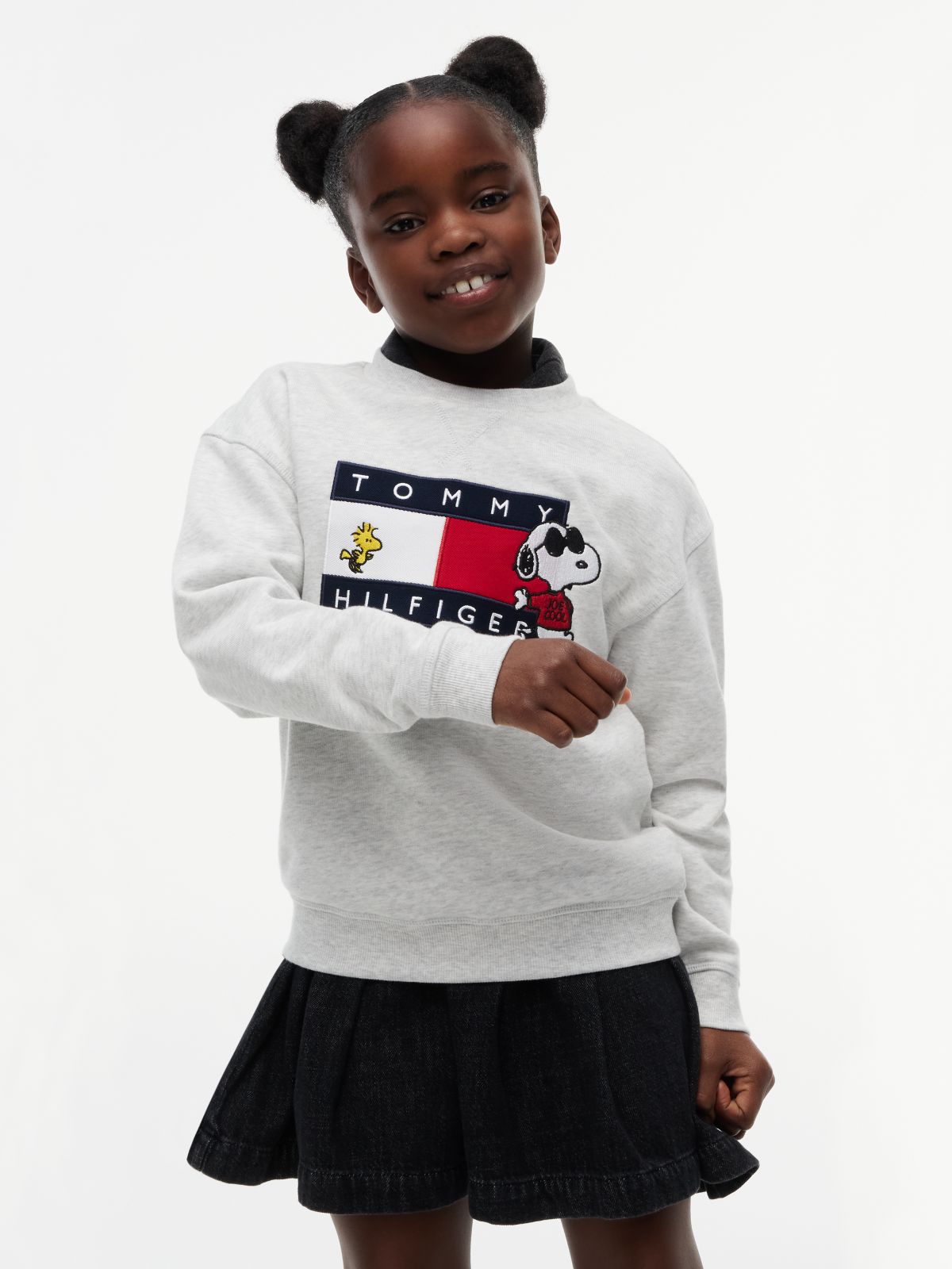Peanuts® Flag Graphic Embroidery Relaxed Jumper — Grey