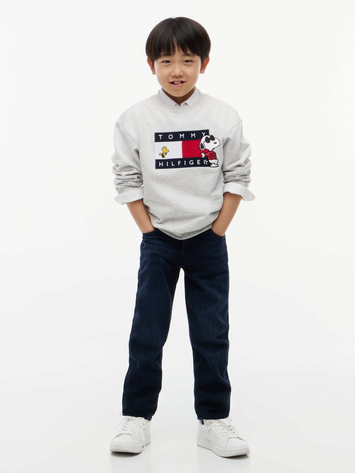 Peanuts® Flag Graphic Embroidery Relaxed Jumper — Grey