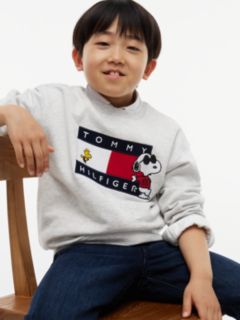Peanuts® Flag Graphic Embroidery Relaxed Jumper — Grey 5
