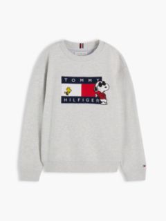 Peanuts® Flag Graphic Embroidery Relaxed Jumper — Grey 9