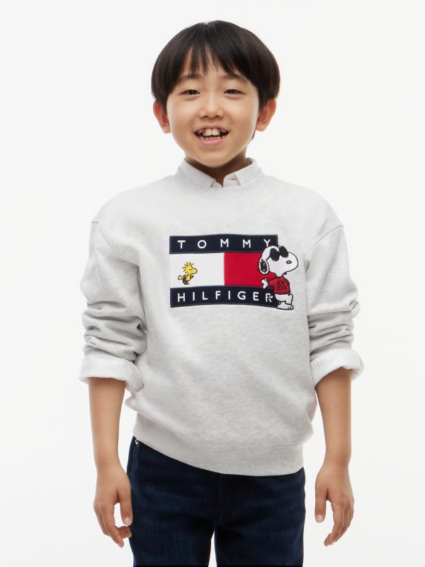 Peanuts® Flag Graphic Embroidery Relaxed Jumper — Grey