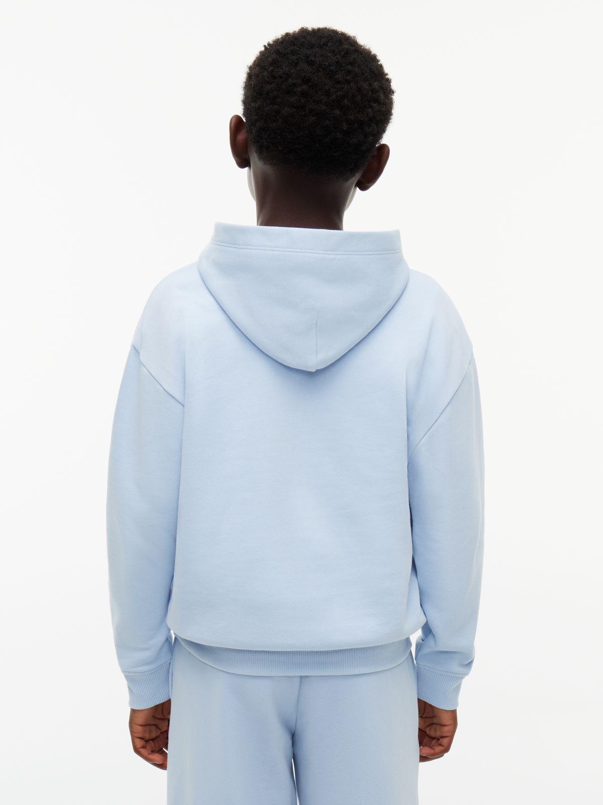 Heritage Flag Logo Relaxed Terry Hoody — Blue