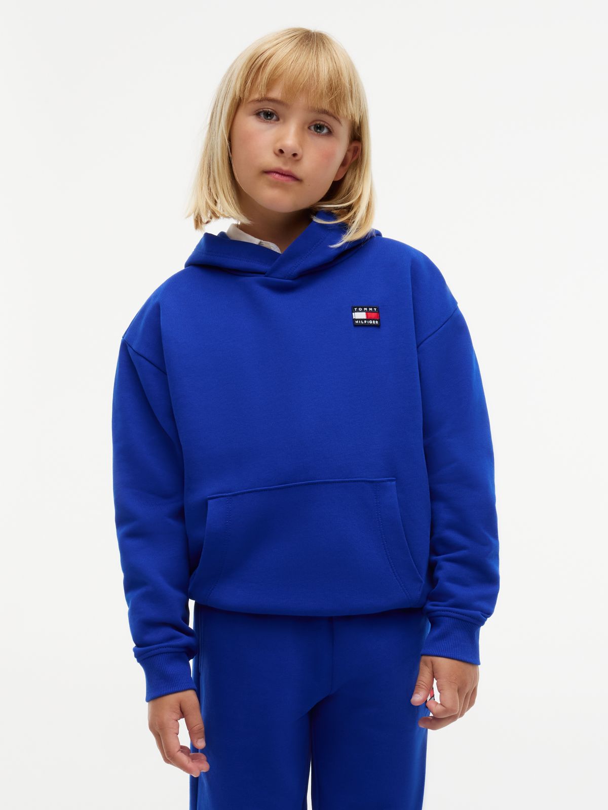 Heritage Flag Logo Relaxed Terry Hoody — Blue