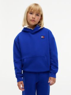Heritage Flag Logo Relaxed Terry Hoody — Blue 2