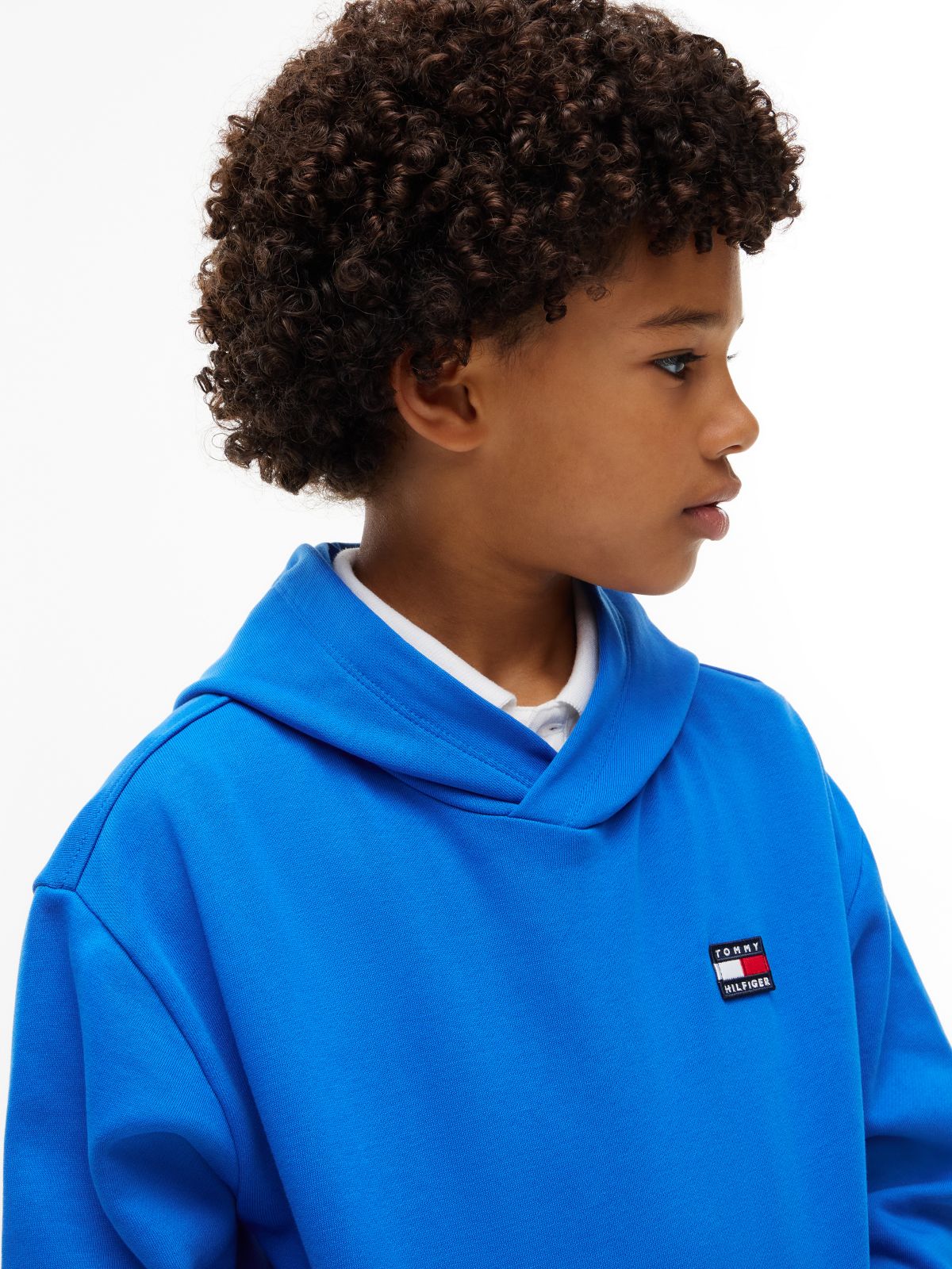 Heritage Flag Logo Relaxed Terry Hoody — Blue