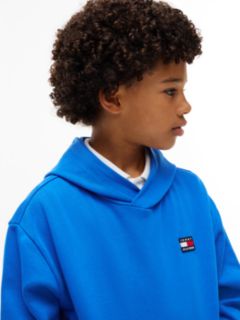 Heritage Flag Logo Relaxed Terry Hoody — Blue 5