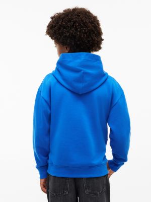 blue heritage flag logo relaxed terry hoody for kids gender inclusive tommy hilfiger