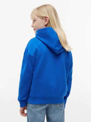 blue heritage flag logo relaxed terry hoody for kids gender inclusive tommy hilfiger