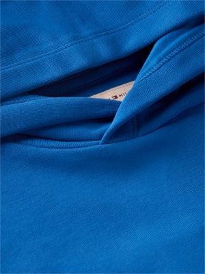 blue heritage flag logo relaxed terry hoody for kids gender inclusive tommy hilfiger