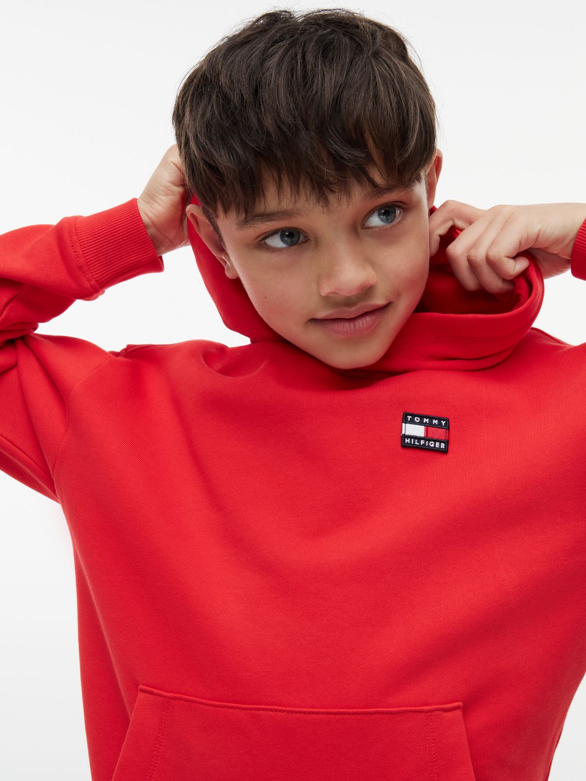 Heritage Flag Logo Relaxed Terry Hoody — Red