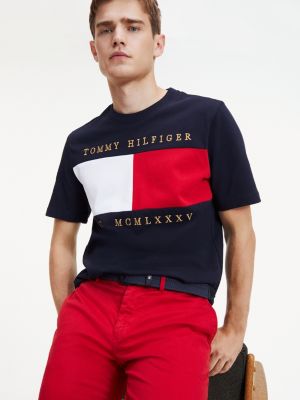 tommy hilfiger blue t shirt mens