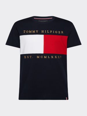 Tommy Hilfiger Big And Tall T Shirts Deals, 58% OFF | lagence.tv
