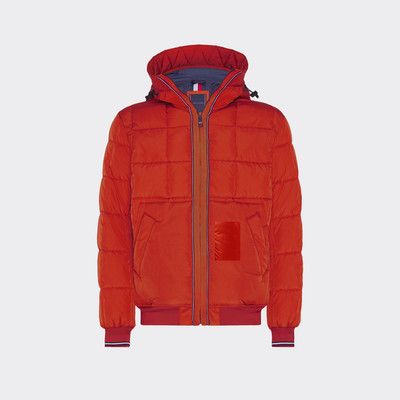 orange and blue tommy hilfiger jacket