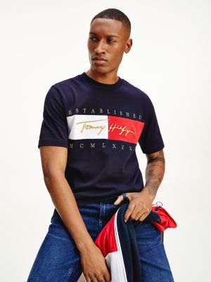 tommy hilfiger mens t shirt