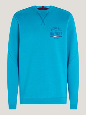 Tommy hilfiger blue logo hot sale sweatshirt