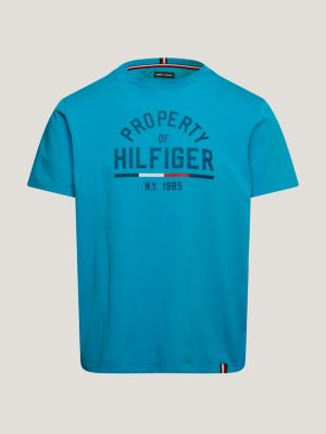 blue sport graphic logo t-shirt for men tommy hilfiger